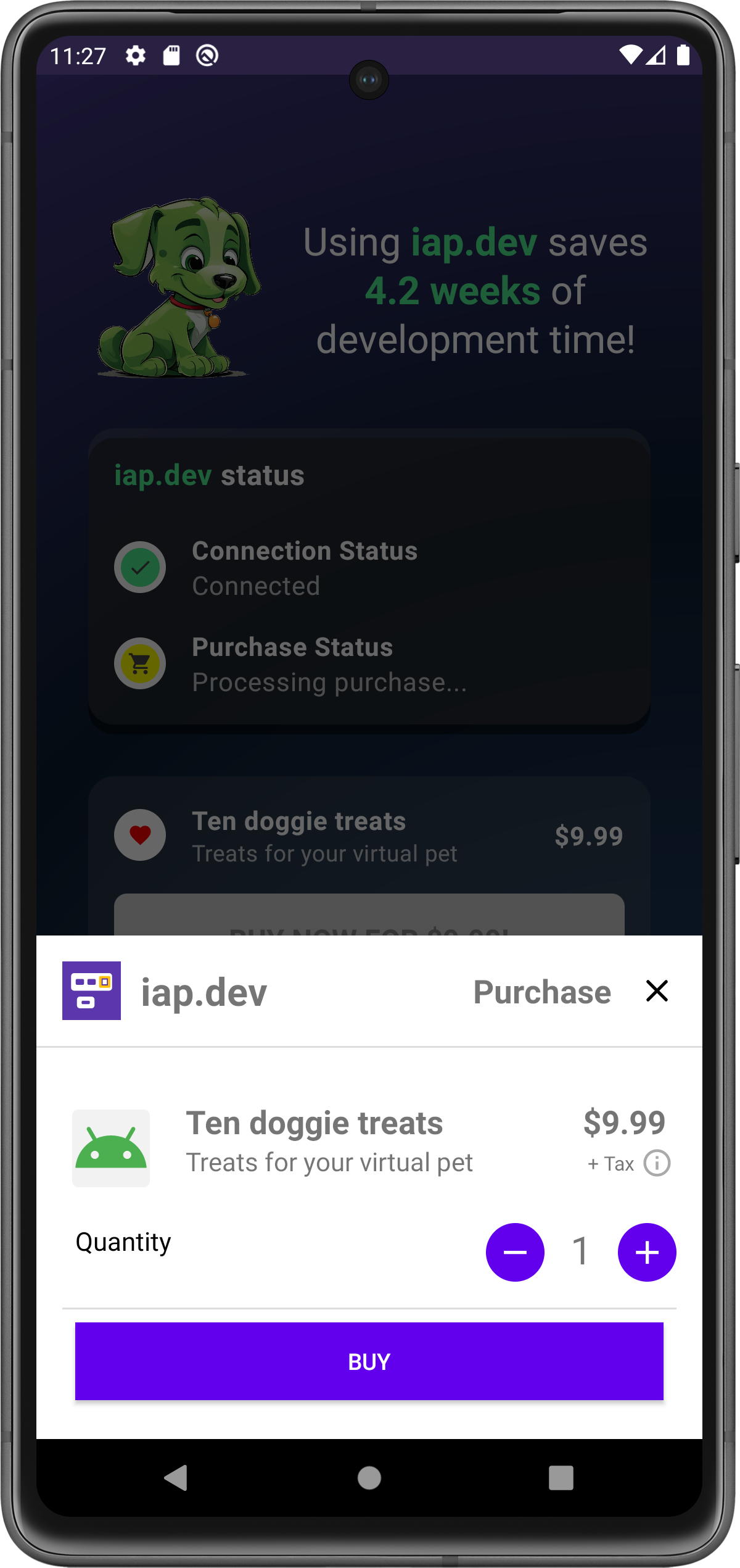 iap.dev 미디어 2