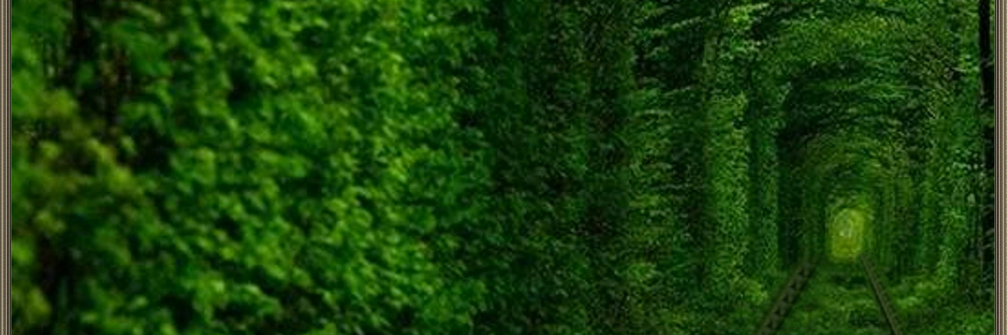 ProductHunt banner for @lav