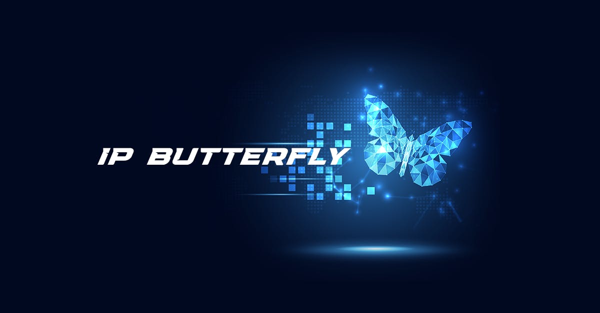 IP BUTTERFLY media 1