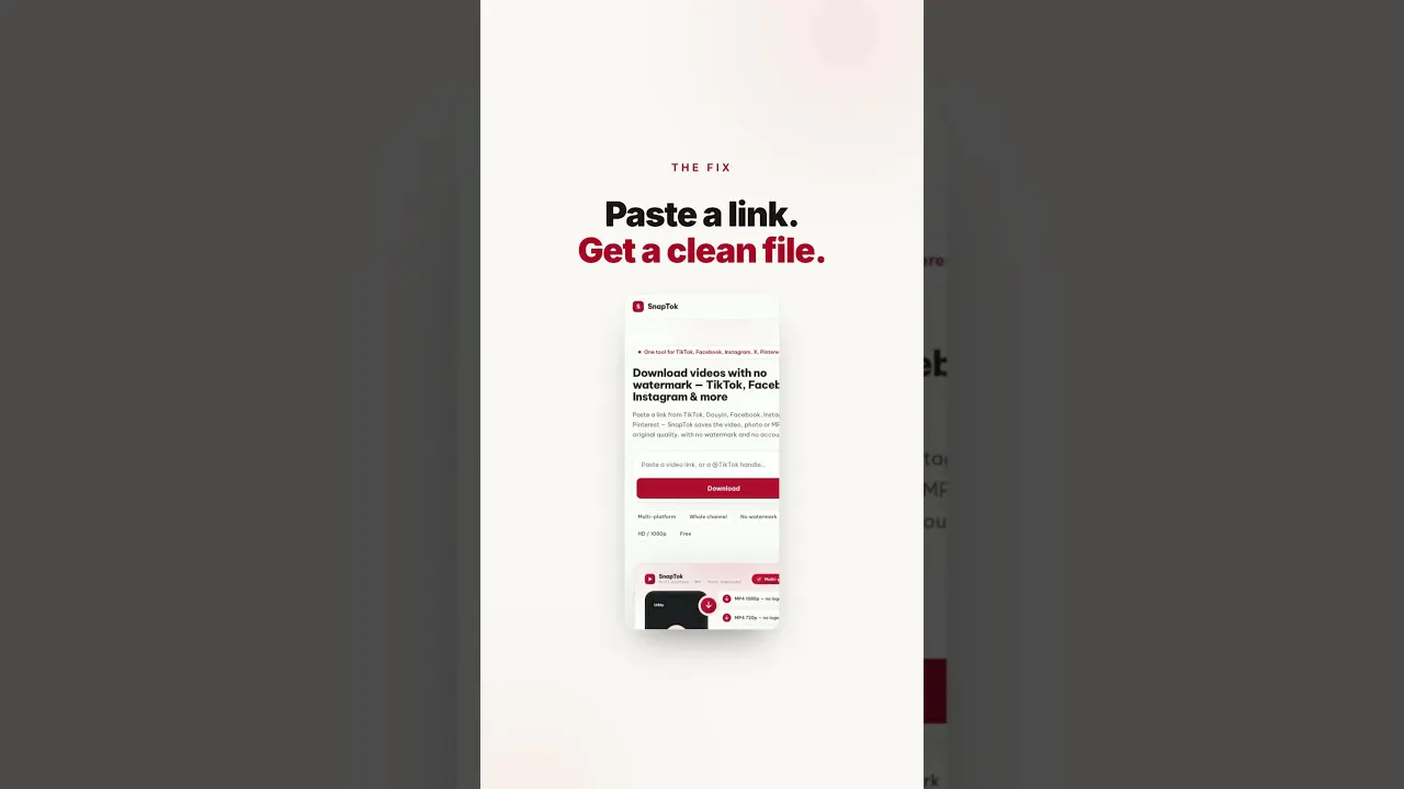 SnapTok.app gallery image