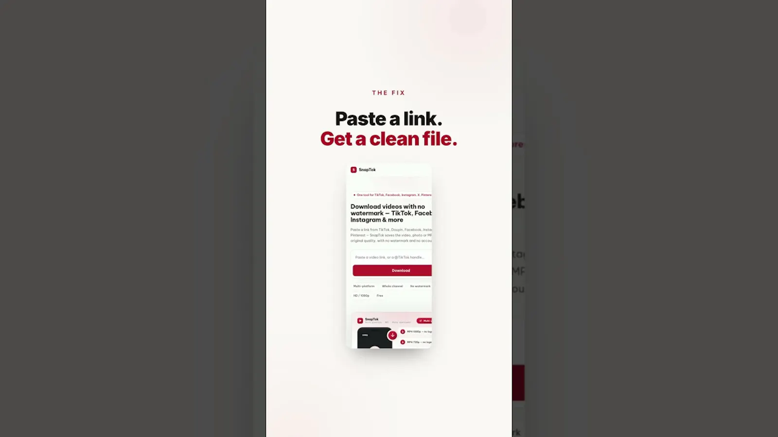 SnapTok.app screenshot 1 (video preview)