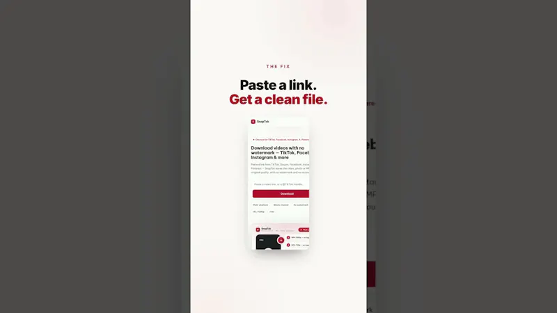 SnapTok.app screenshot 1 (video preview)