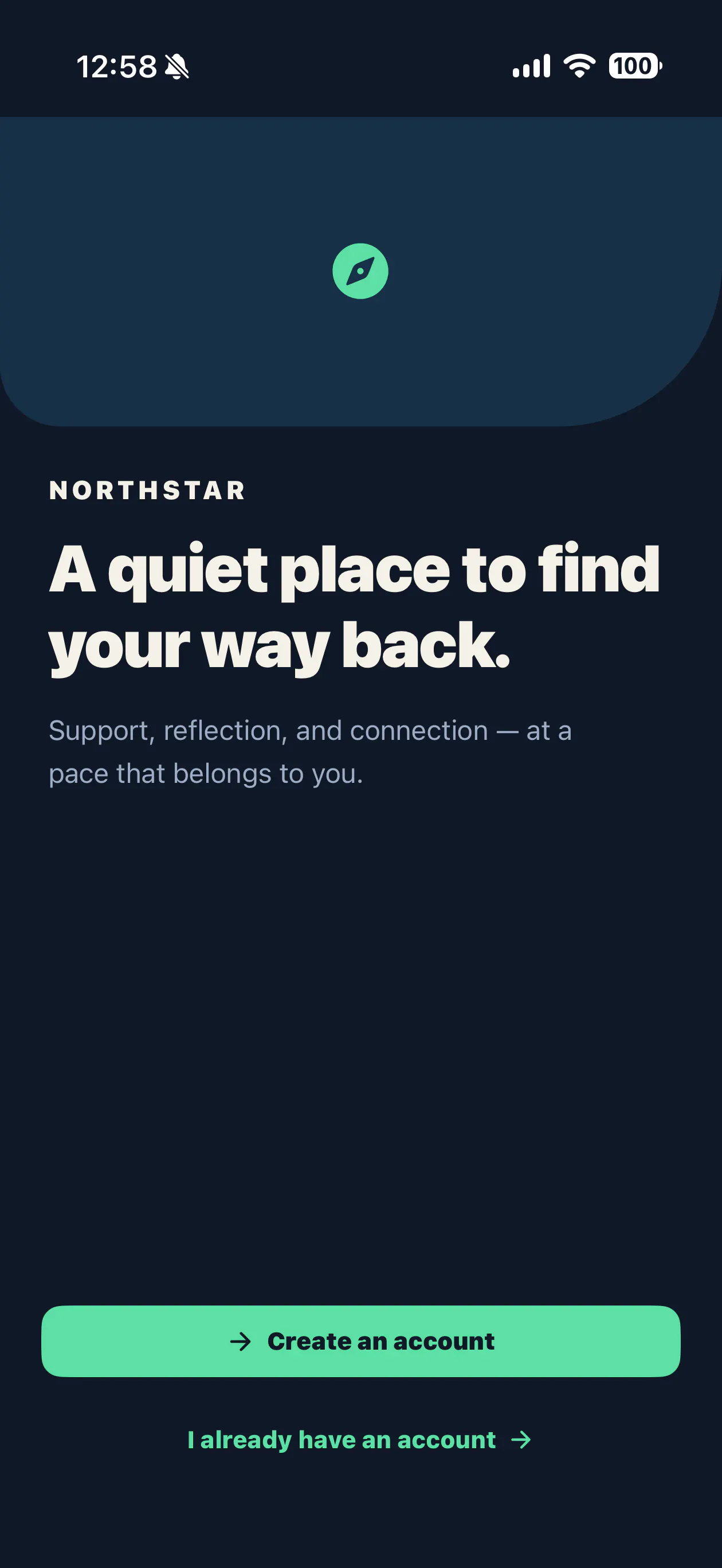 NorthStar Recovery screenshot 2