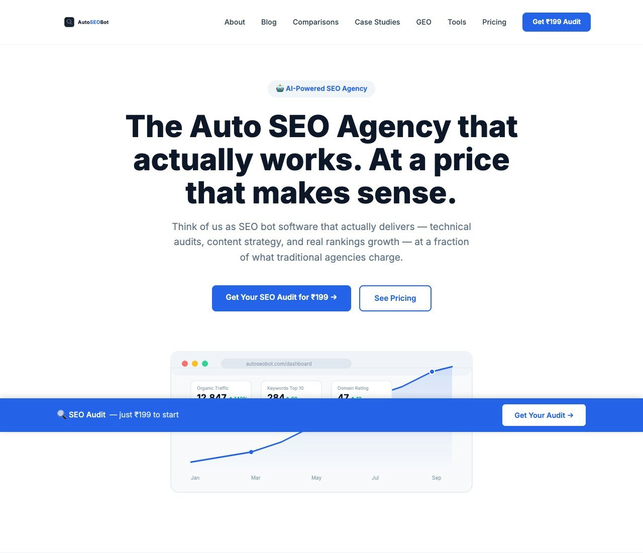 $2 SEO Audit gallery image