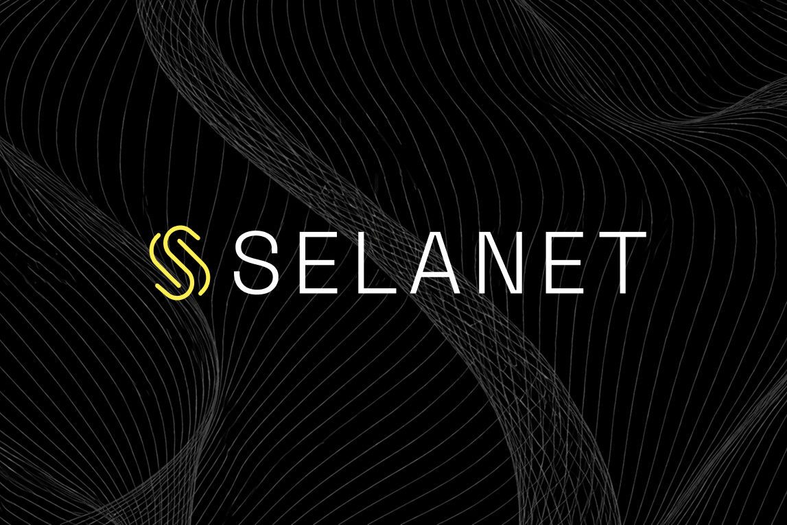 Selanet AI gallery image