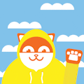 Poncho The Weathercat