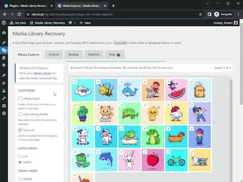 Media Library Recovery gallery image