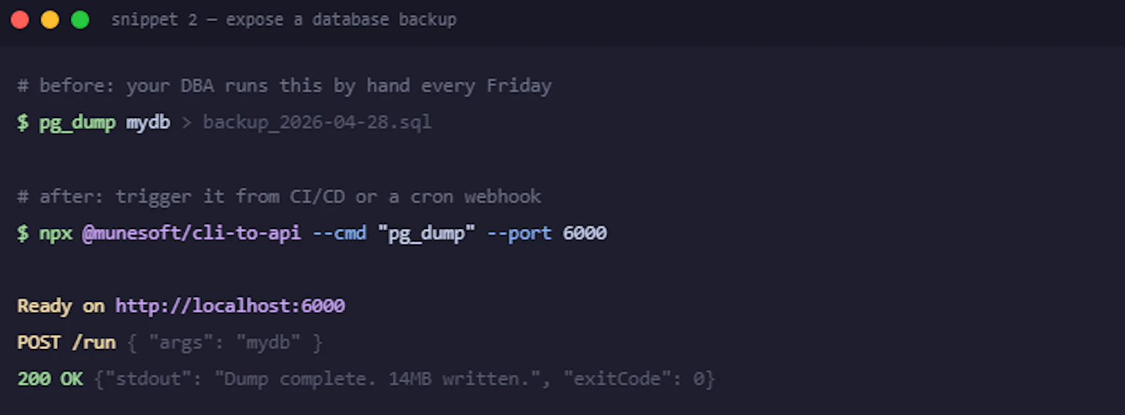 cli-to-api screenshot 1