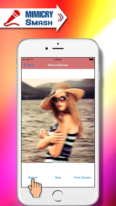 MimicrySmash gallery image