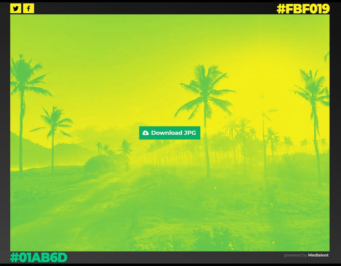 Duotones gallery image