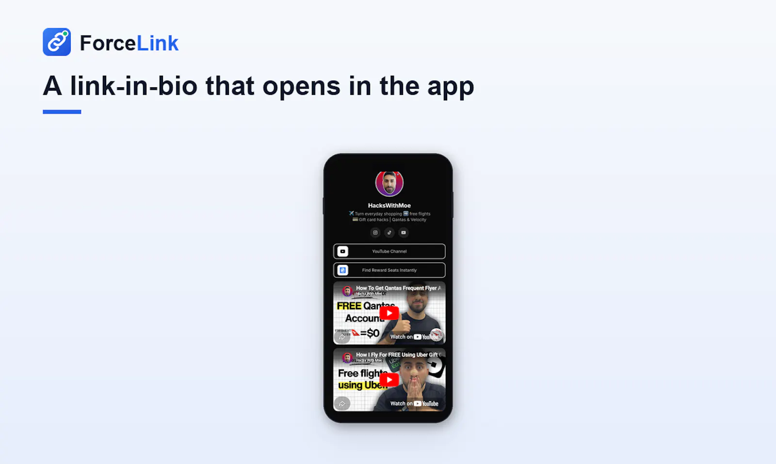 ForceLink screenshot 2