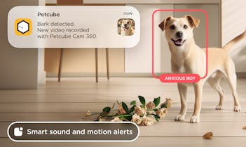 Bleiben Sie verbunden und interagieren Sie mit Ihrem Haustier über unser immersive 2-Wege-Audiosystem.