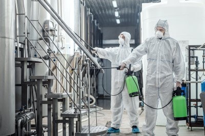 Услуги по борьбе с вредителями в Дубае медиа 3