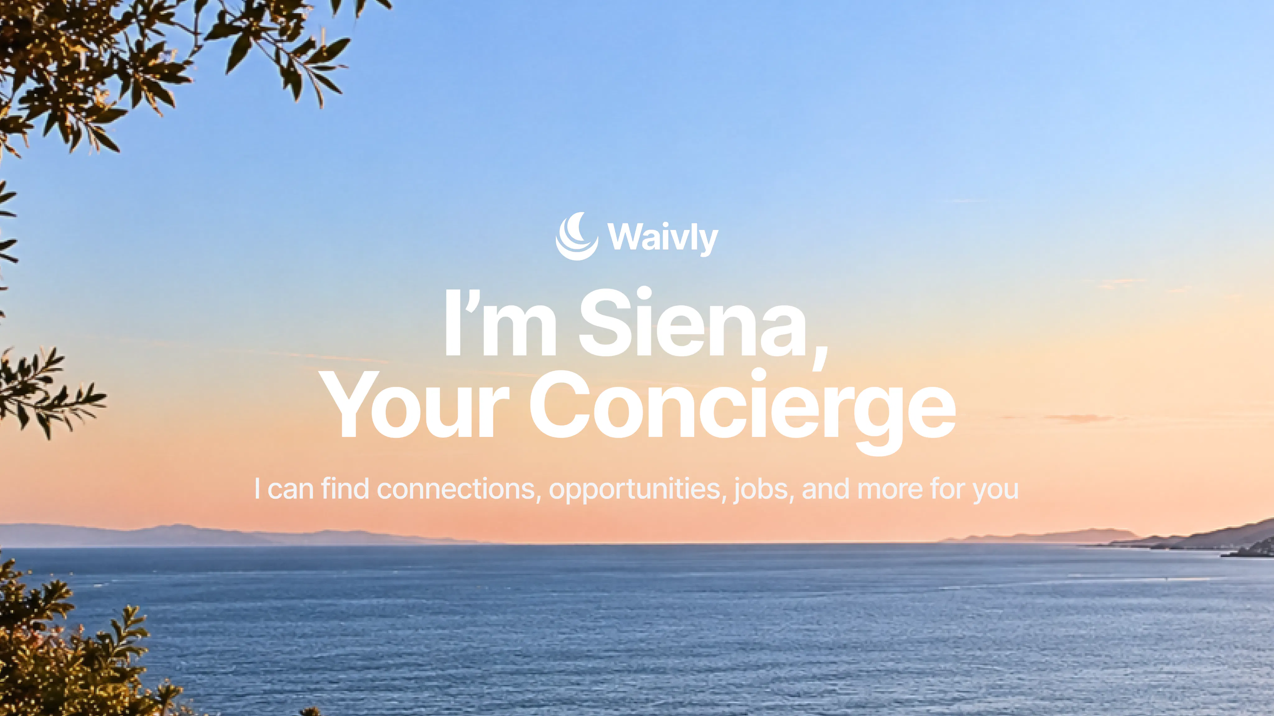 Siena - Finding Connections For You gallery image