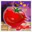 Tomato Bash