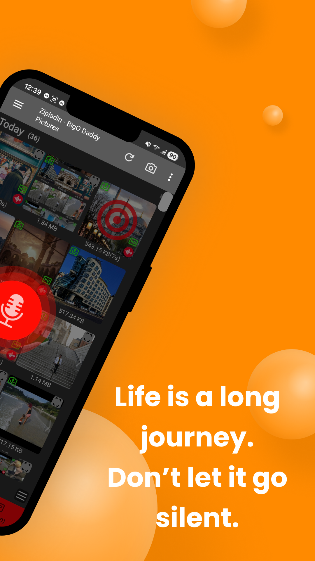 Zipladin gallery image