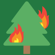 Roast My Tree logo