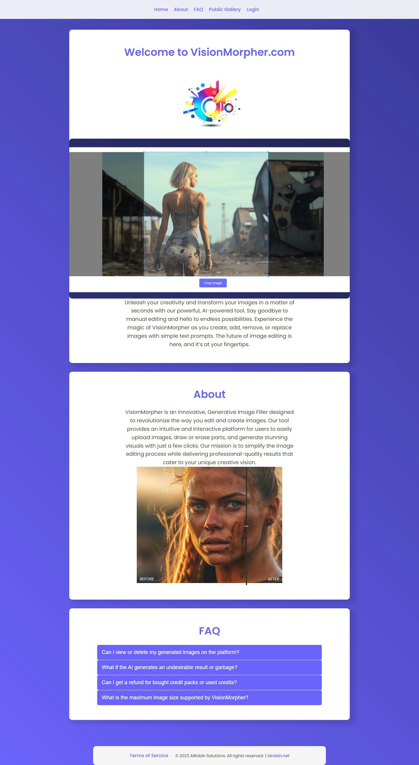 VisionMorpher gallery image