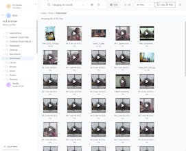 Cosmos gallery image