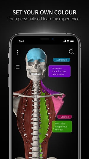 Anatomyka gallery image