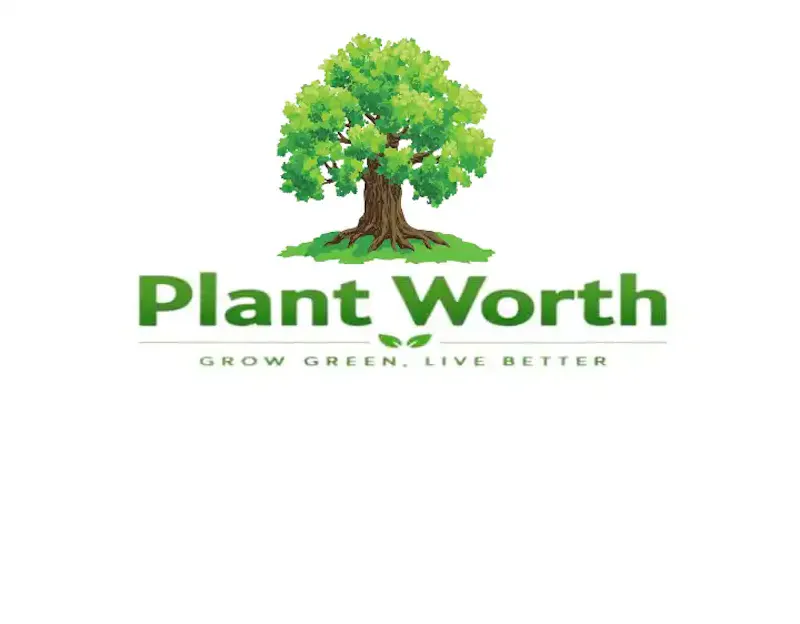 Plant Worth screenshot 2