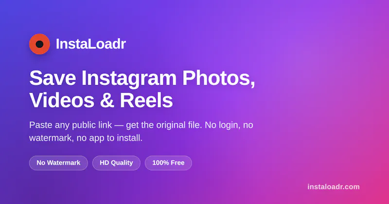 InstaLoadr screenshot 1