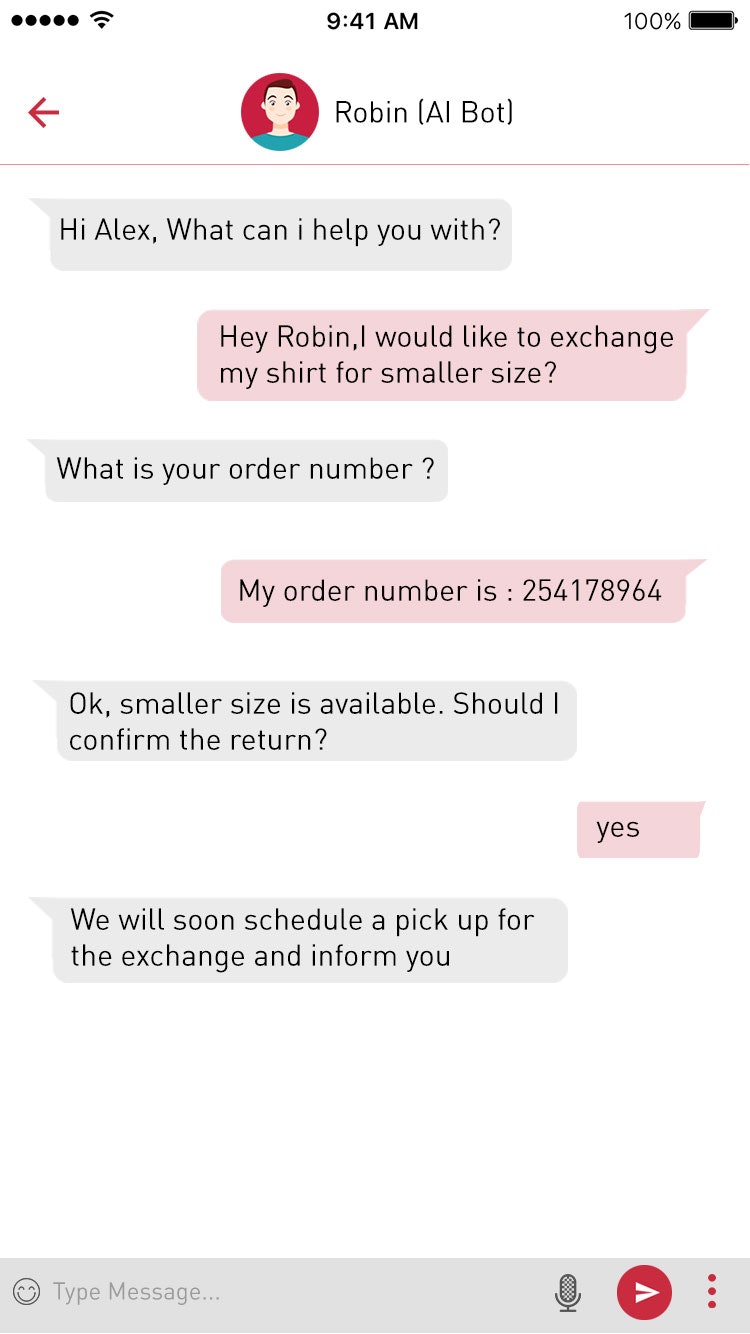 Robin - Chatbot by ZORO.IM gallery image