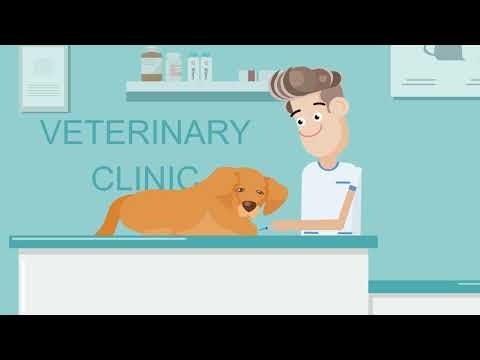 Medrego gallery image