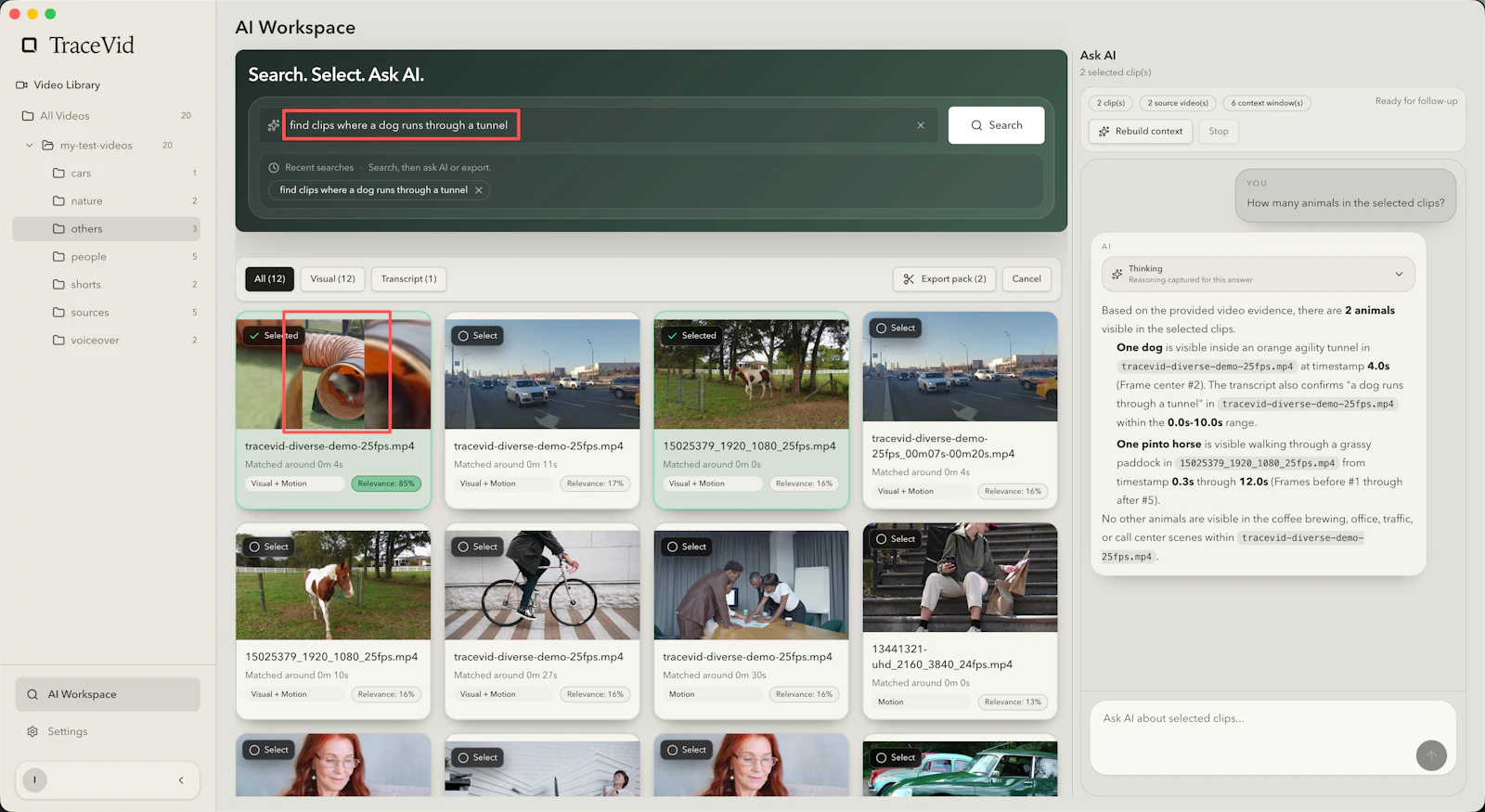 TraceVid screenshot 2
