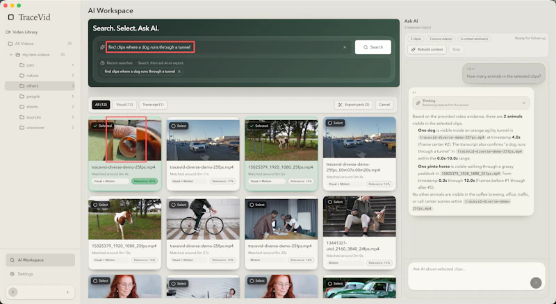 TraceVid screenshot 2