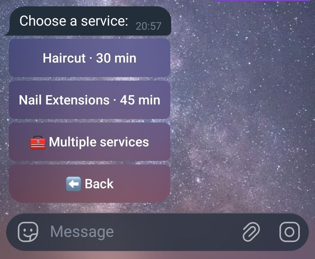 SalonBot — Telegram Booking System gallery image