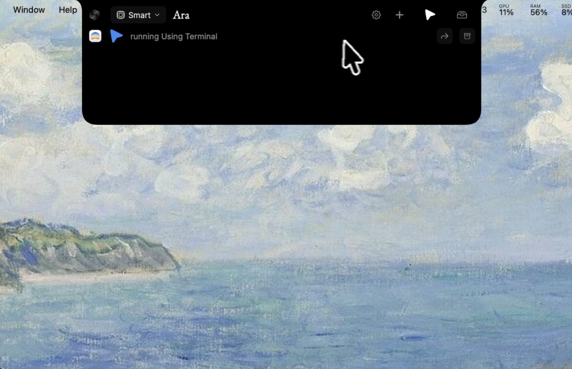 Ara gallery image