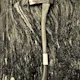 Self-Reliance