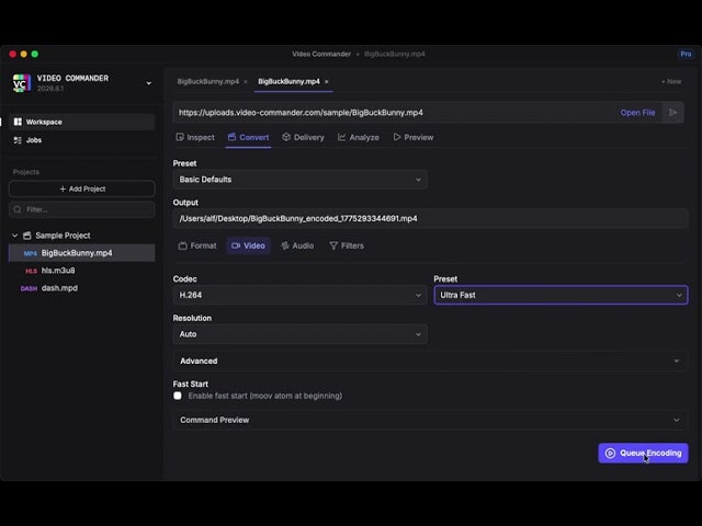 Video Commander gallery image