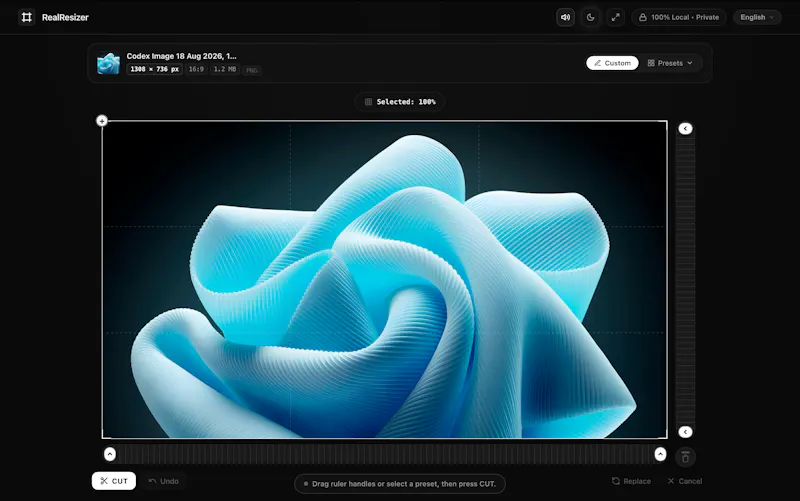 RealResizer — One Image, Every Platform. screenshot 1