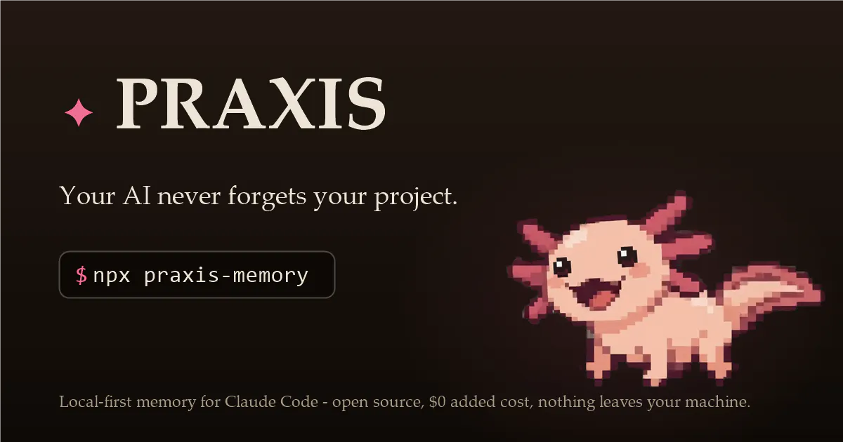PRAXIS gallery image
