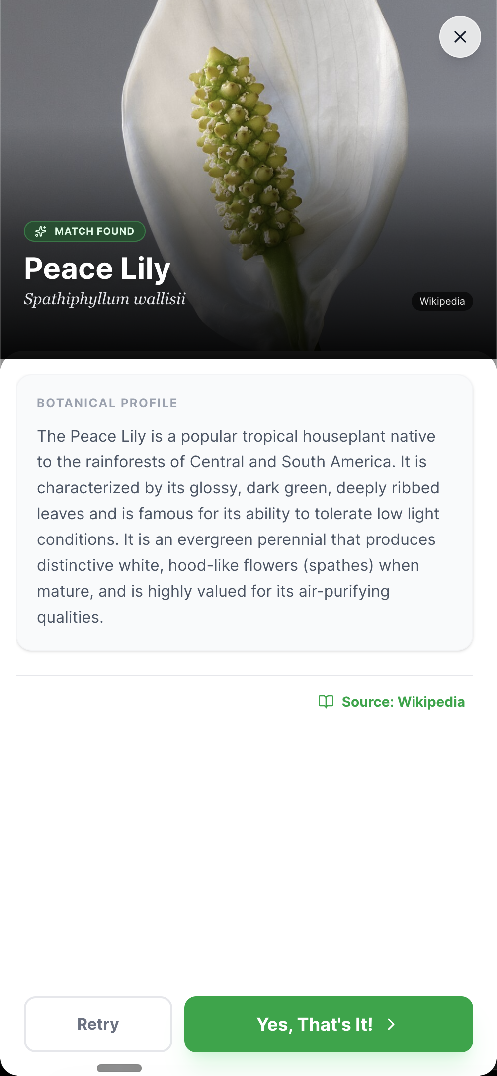 LeafyBook gallery image