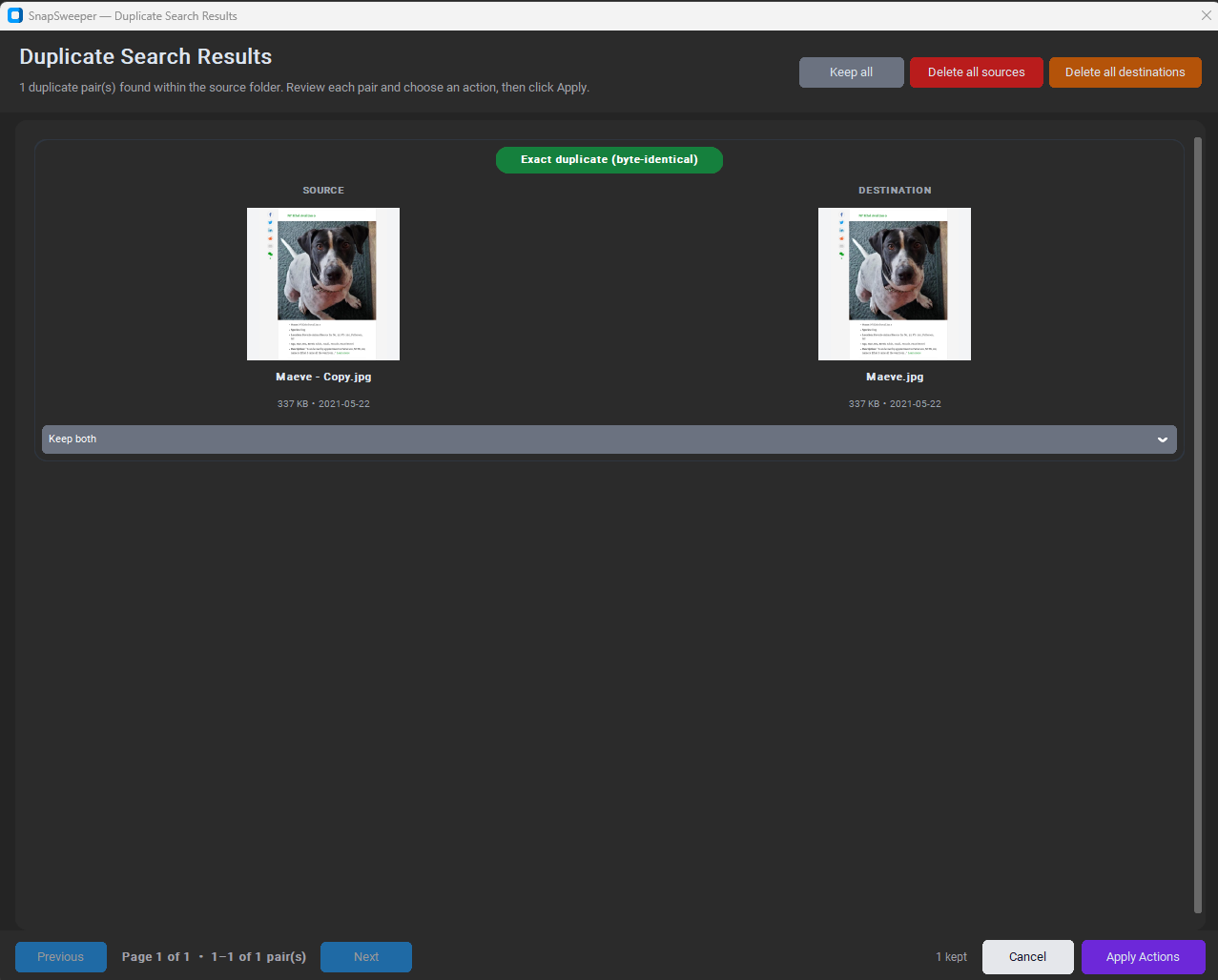 SnapSweeper gallery image
