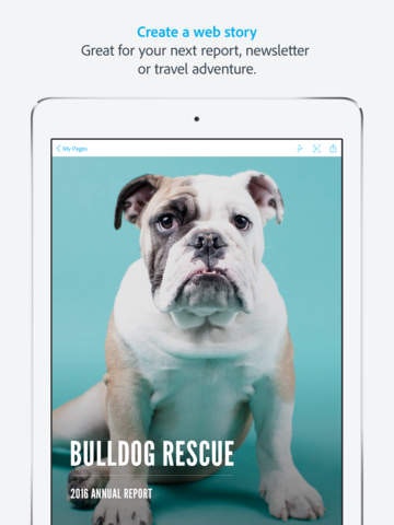 Adobe Spark Page gallery image