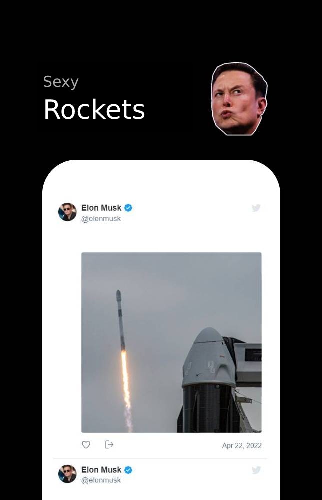 Elon's Shenanigans gallery image