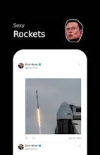Elon's Shenanigans gallery image
