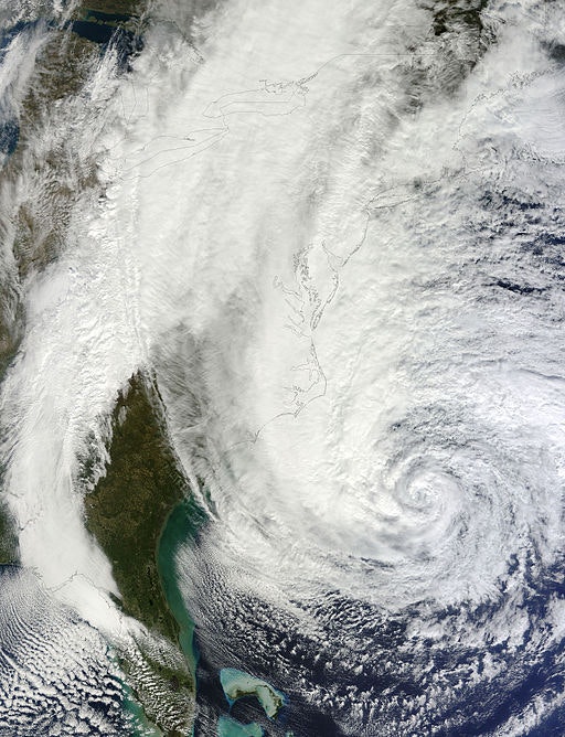 Sandy Search gallery image