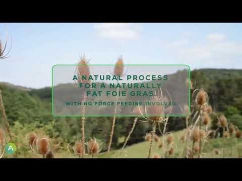 Aviwell gallery image