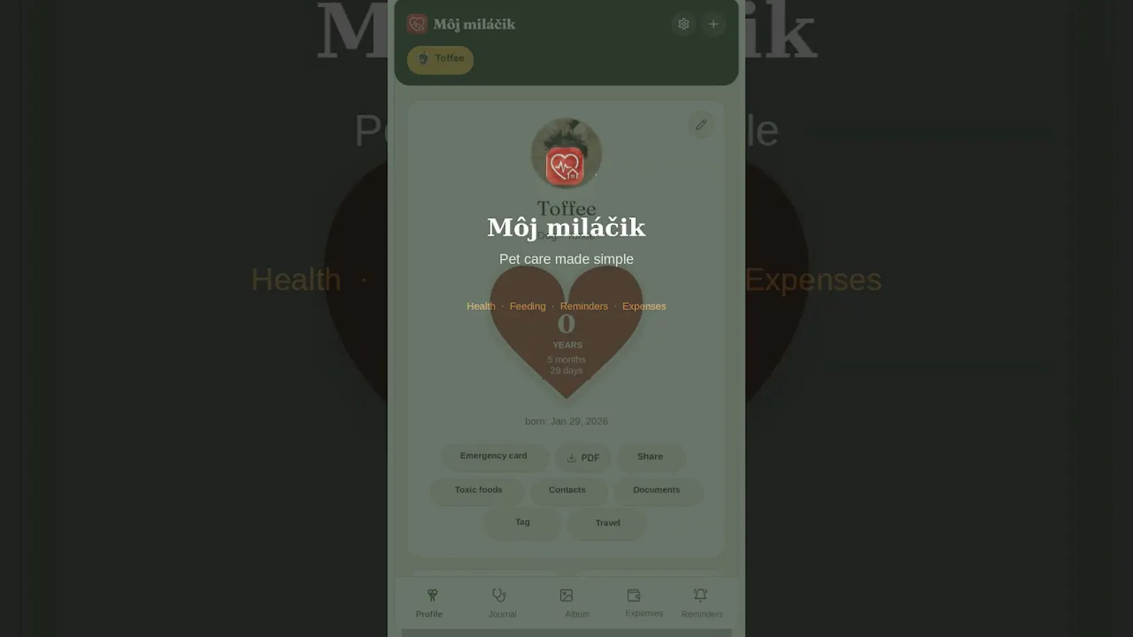 Môj miláčik screenshot 1 (video preview)