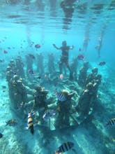 Snorkeling Gili Trawangan gallery image