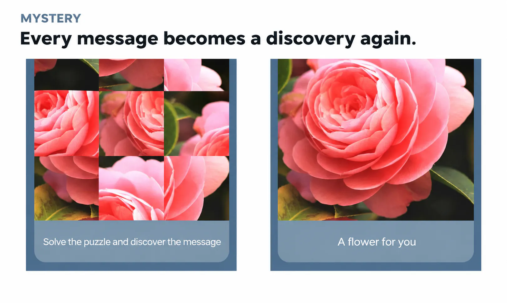 Intrigue App gallery image