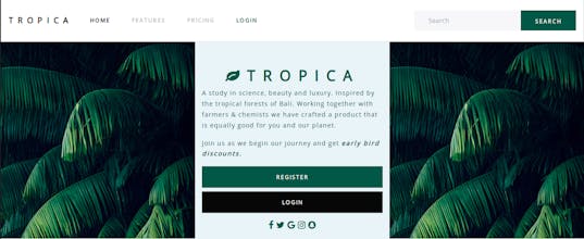 Plug -n- Play Signups & Login for devs gallery image
