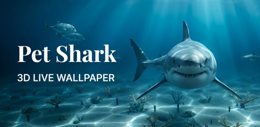 Pet Shark gallery image