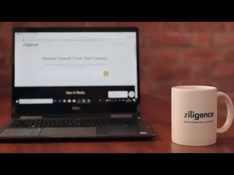 Ziligence gallery image