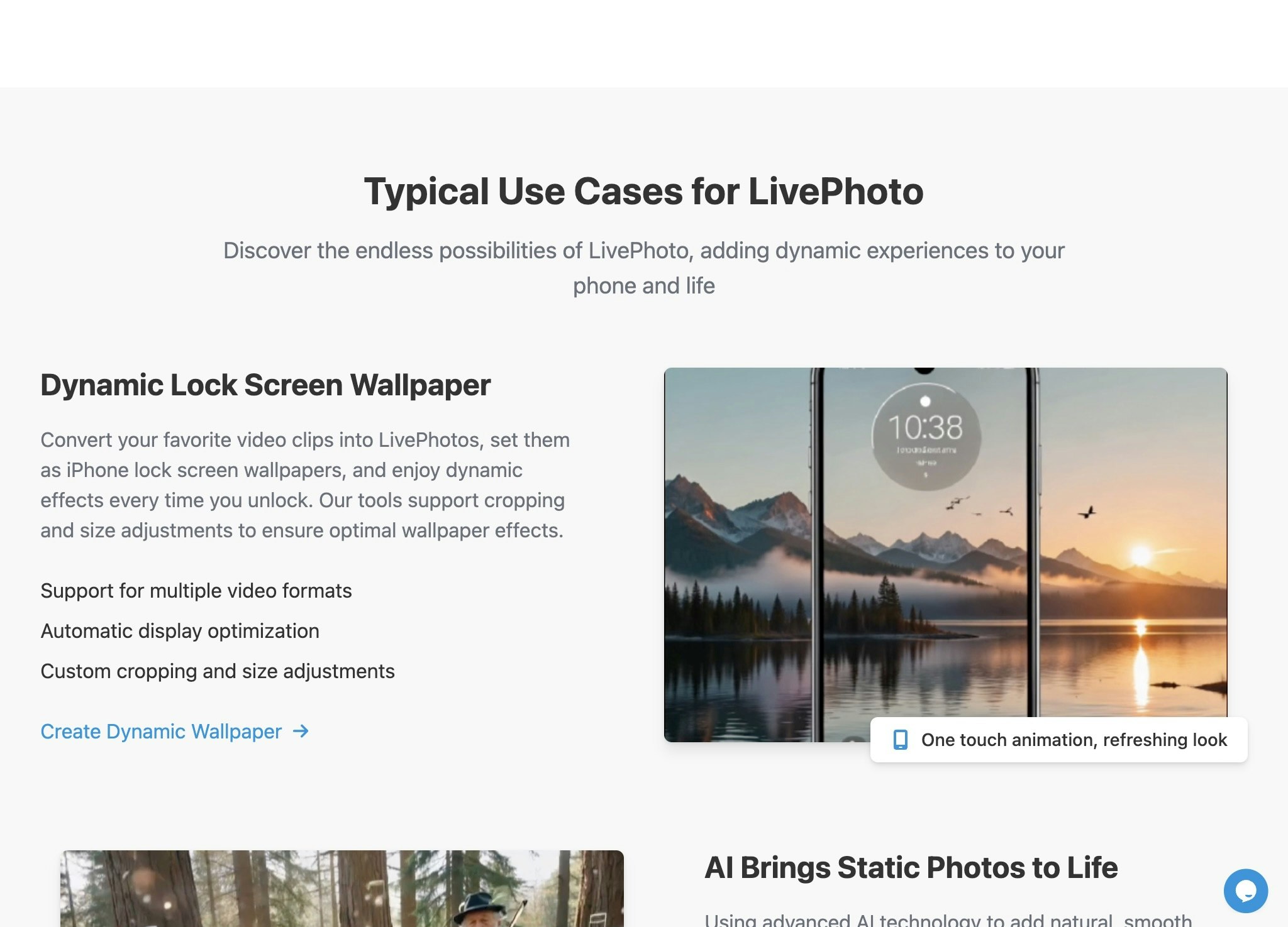 LivePhoto.video gallery image